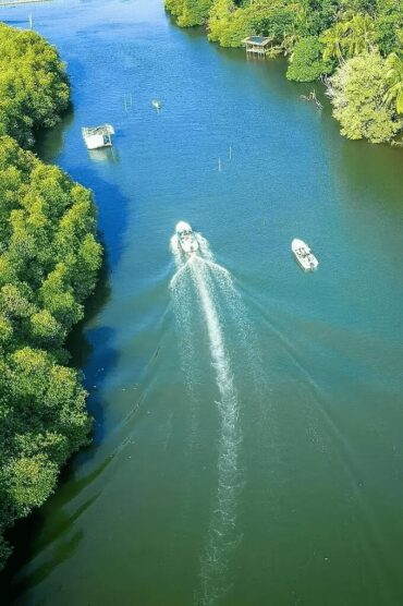 Aerial shot of boats cruising on Madu River in Balapitiya