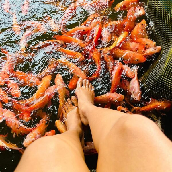Tourist relaxing with feet in the water during Madu River boat ride