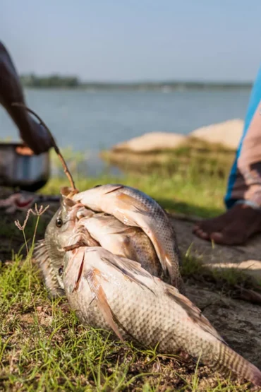 Tourists enjoying fishing on Madu River during Sri Lanka Fishing Tour