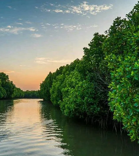Scenic Madu River view during platinum private safari
